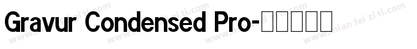 Gravur Condensed Pro字体转换